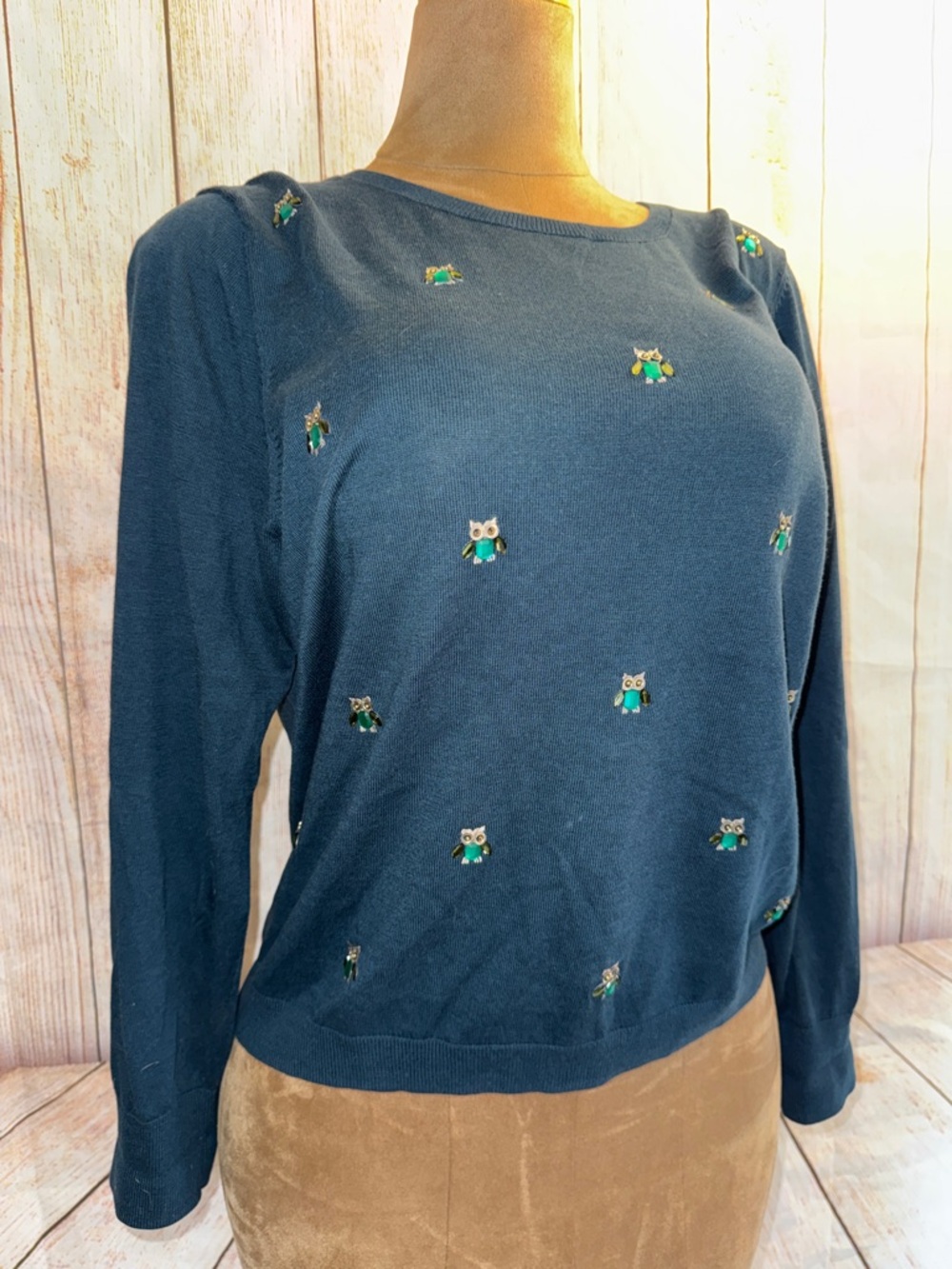Talbots Blue Crewneck Sweater with rhinestone jewel owls, lightweight sz XL - Picture 2 of 12